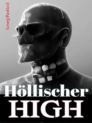 cover image of Höllischer High